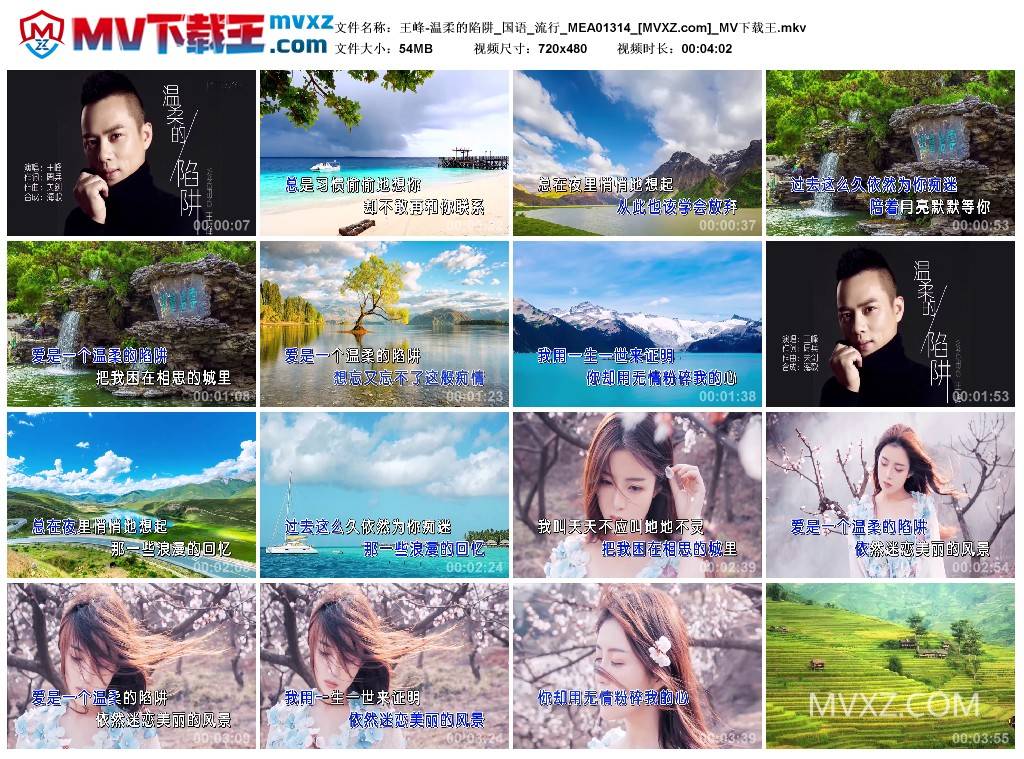 王峰-温柔的陷阱_国语_流行_MEA01314